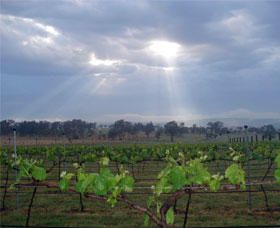 Thunder Ridge Wines - Accommodation Tasmania 1