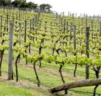 Bantry Grove - Accommodation Tasmania