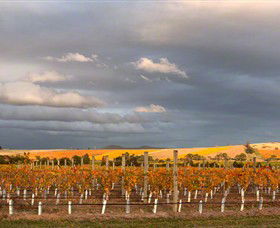 Coombe Yarra Valley - Accommodation Tasmania 1