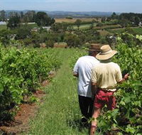 Sir Paz Estate - Accommodation Tasmania