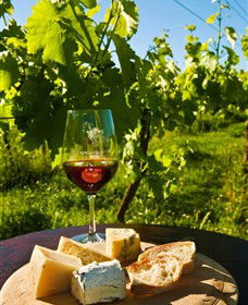 King River Estate - Accommodation Tasmania 3