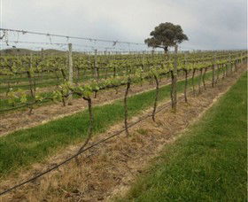 Indigo Vineyard - Accommodation Tasmania 1