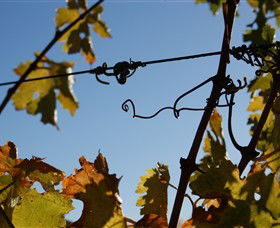 Blackjack Vineyards - Accommodation Tasmania 1