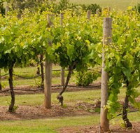 Mt Coghill Vineyard - Accommodation Tasmania