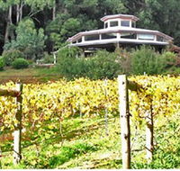 Peveril Vineyard/Beechy Berries - Accommodation Tasmania
