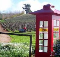 Dalrymple Vineyards - Accommodation Tasmania