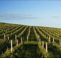 Delamere Vineyard - Accommodation Tasmania