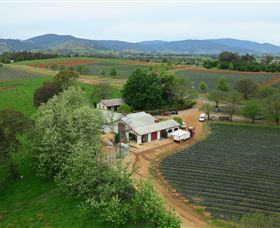 Schmidts Strawberry Winery - Accommodation Tasmania 0