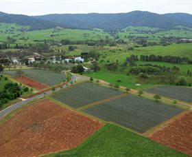 Schmidts Strawberry Winery - Accommodation Tasmania 1