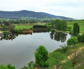 Schmidts Strawberry Winery - Accommodation Tasmania 2