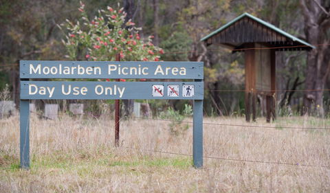 Moolarben Picnic Area - Accommodation Tasmania 1