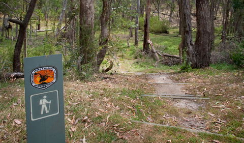 Moolarben Picnic Area - Accommodation Tasmania 0