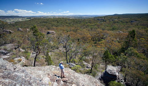 Munghorn Gap Nature Reserve - Accommodation Tasmania 1