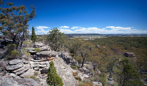 Munghorn Gap Nature Reserve - Accommodation Tasmania 0