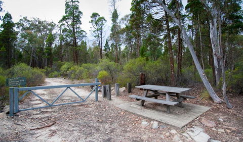 Munghorn Gap Nature Reserve - Accommodation Tasmania 2