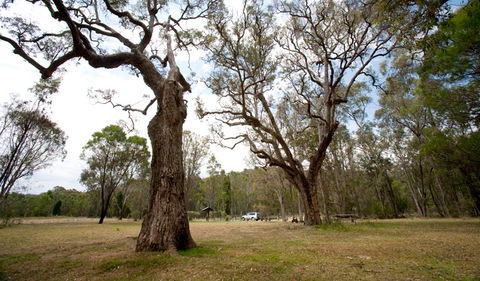 Munghorn Gap Nature Reserve - Accommodation Tasmania 3