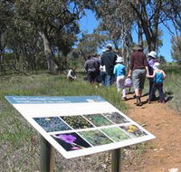 South Gundagai Woodlands Walk - Accommodation Tasmania