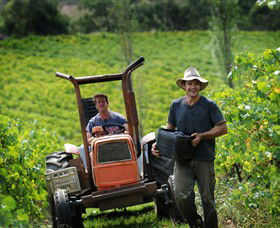 Kellybrook Winery, Kelly Brothers Cider & Riders Brew Co. - Accommodation Tasmania 0