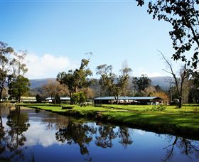 Buxton Trout & Salmon Farm - Accommodation Tasmania 0