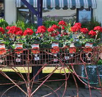 Van Loon's Nursery - Accommodation Tasmania