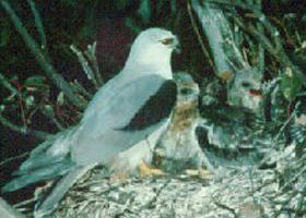 Bushy Park Wetlands - Accommodation Tasmania 0