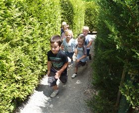 Hedgend Maze And Healesville Laser Sport - Accommodation Tasmania 1