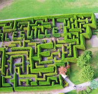 Hedgend Maze and Healesville Laser Sport - Accommodation Tasmania