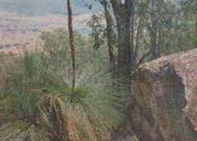 Burrowye VIC Accommodation Tasmania