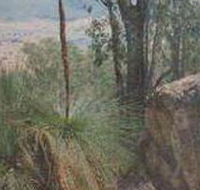 Mount Lawson State Park - Accommodation Tasmania