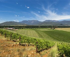 Feathertop Winery - Accommodation Tasmania 3