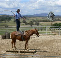 Boggy Creek Shows - Accommodation Tasmania