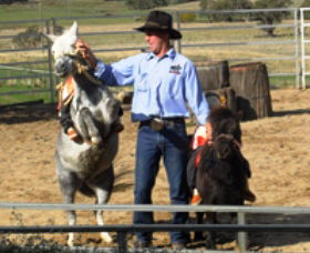 Boggy Creek Shows - Accommodation Tasmania 2