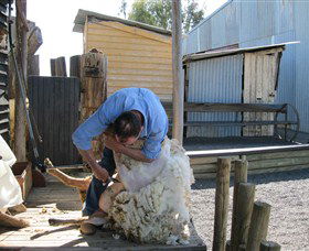 Boggy Creek Shows - Accommodation Tasmania 4