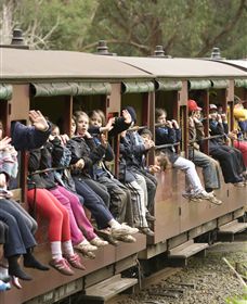 Puffing Billy Steam Railway - Accommodation Tasmania 1