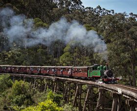 Puffing Billy Steam Railway - Accommodation Tasmania 0