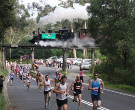 Puffing Billy Steam Railway - Accommodation Tasmania 7