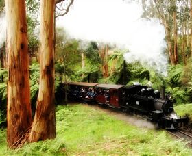 Puffing Billy Steam Railway - Accommodation Tasmania 5