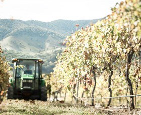 Logan Wines - Accommodation Tasmania 5