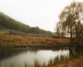 Logan Wines - Accommodation Tasmania 6