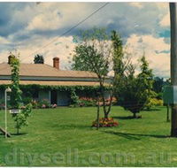 Tumut Valley Violets - Accommodation Tasmania