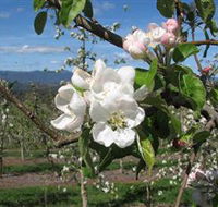 Mouat's Farm - Accommodation Tasmania