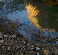 Abercrombie Karst Conservation Reserve - Accommodation Tasmania