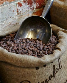 Bright Chocolate - Accommodation Tasmania 5