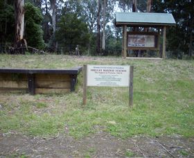 Shelley Forest Camp - Accommodation Tasmania 0