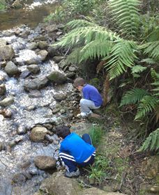 Shelley Forest Camp - Accommodation Tasmania 2