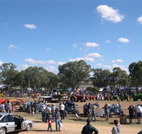 Quirindi Rural Heritage Village - Accommodation Tasmania