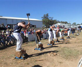 Quirindi Rural Heritage Village - Accommodation Tasmania 1