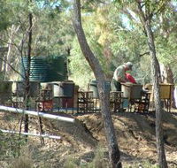 7 Oaks Sapphire Fossicking - Accommodation Tasmania