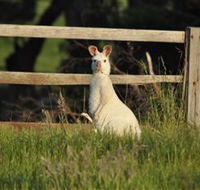 Panorama Garden Estate - Accommodation Tasmania