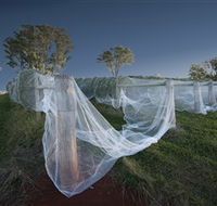 Toppers Mountain Wines - Accommodation Tasmania